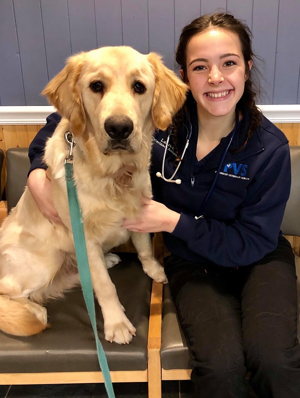 Veterinary assistant jobs in maine